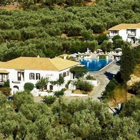 Alkistis Hotel スコペロス エクステリア 写真